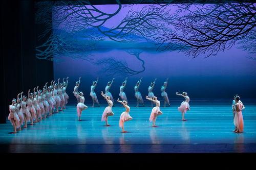 舞剧朱鹮 背景音乐,探寻自然与生命的和谐交响