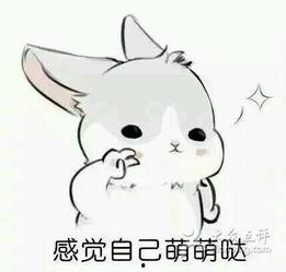 黑色兔子吃麦当劳表情包