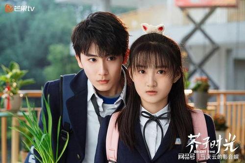 比较搞笑轻松的电视剧,那些让人捧腹大笑的电视剧大盘点